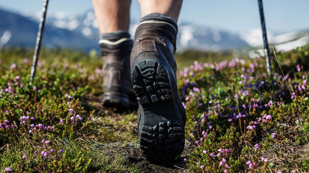 SWS koppelt wandelmaatjes SWS koppelt wandelmaatjes
