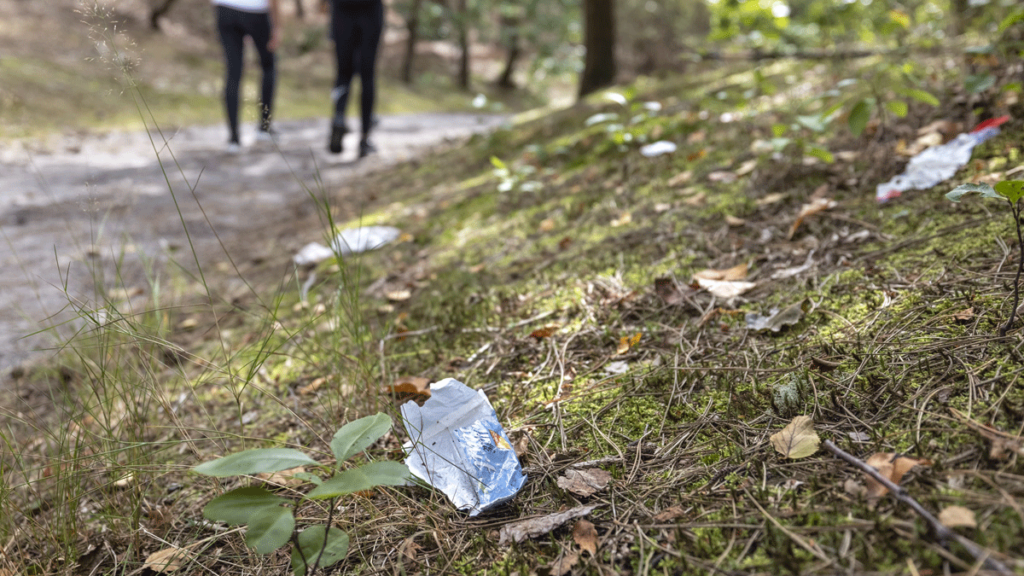 Zaterdag 23 maart 2024: kom in actie voor een schoon bos