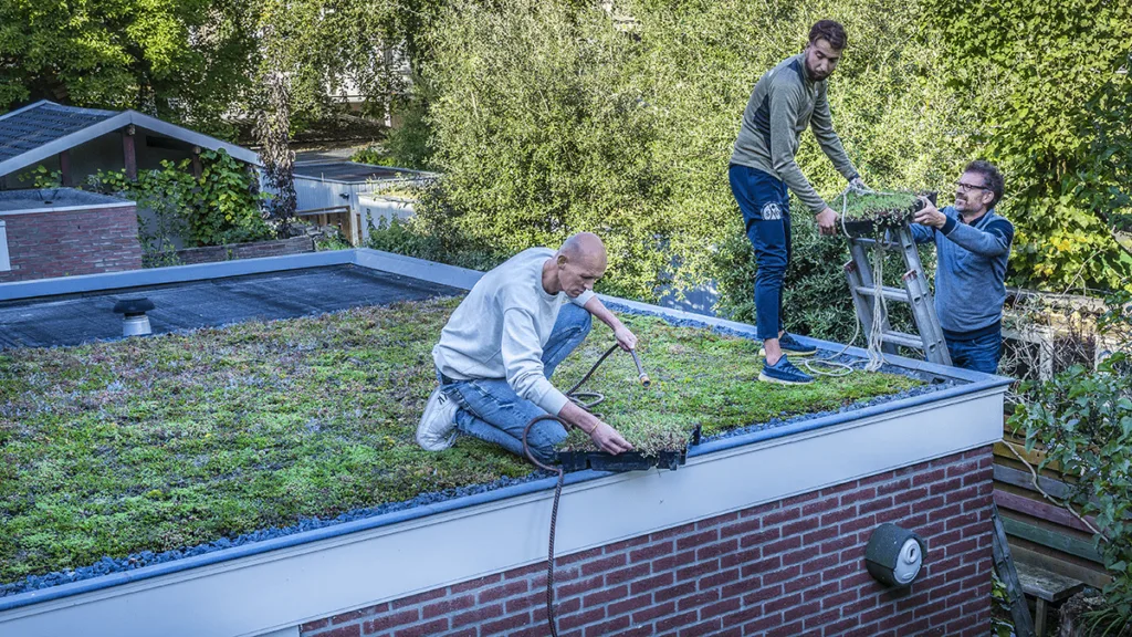 Klimaatsubsidie Staphorst: maak uw huis en tuin klimaatbestendig