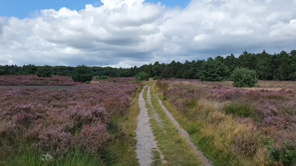 Geldgebrek Boswachterij: Staphorst komt in actie