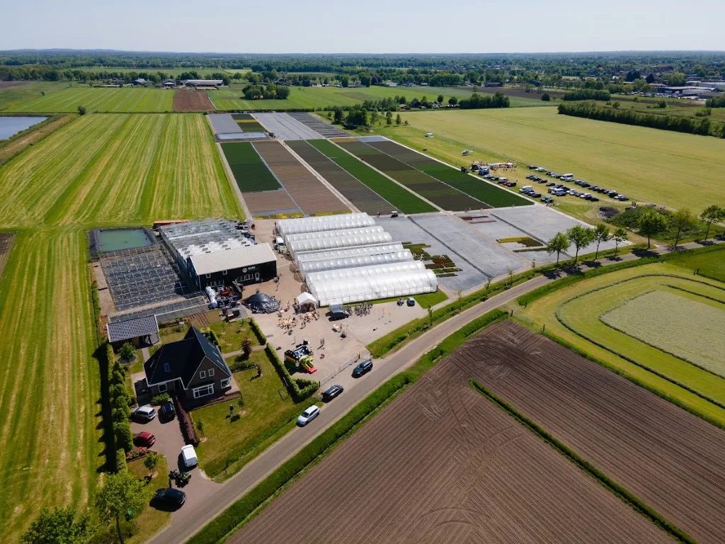 Succesvolle Lavendelactie Stichting Denbi trekt veel bezoekers