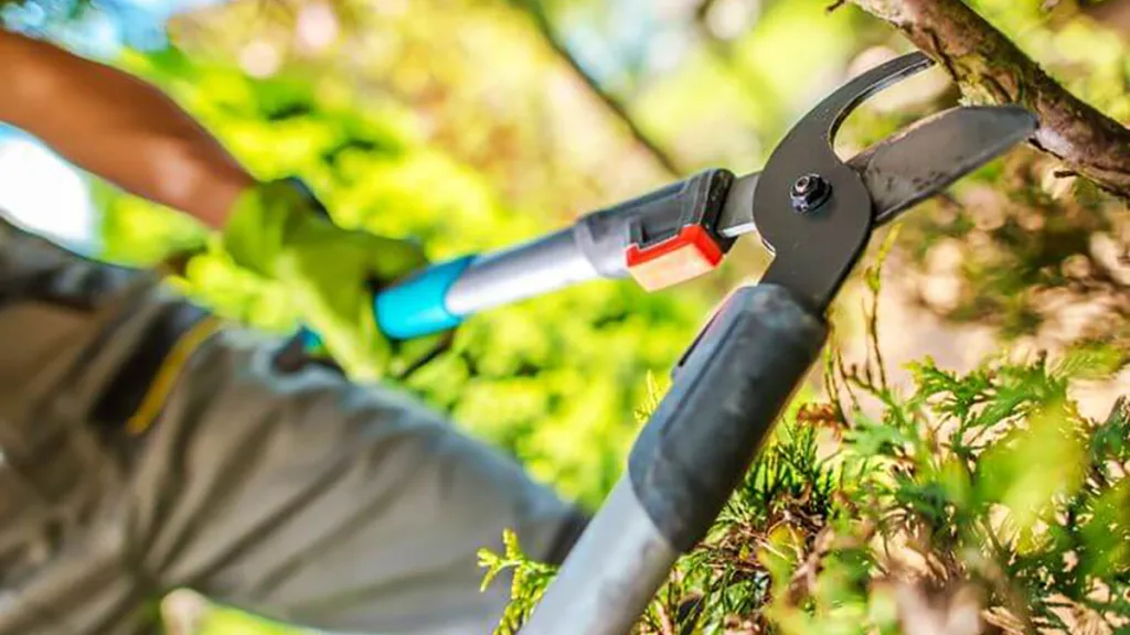 Gratis grof tuinafval inleveren in Staphorst op 25 oktober