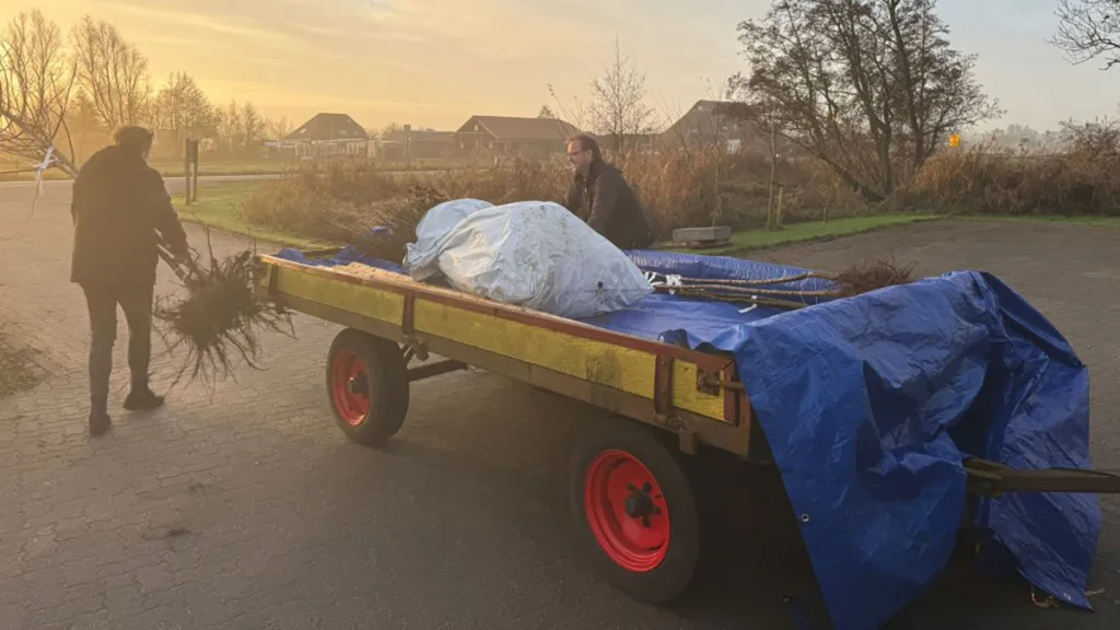 Staphorst plant ruim 4.000 bomen tijdens Boomdeeldag