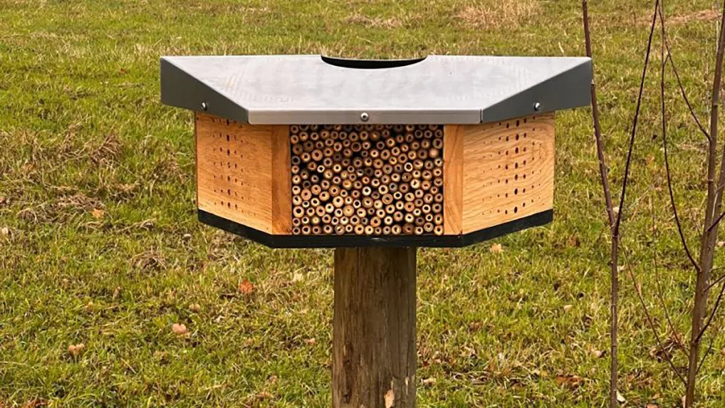 Bijenhotels meten natuur in Staphorst