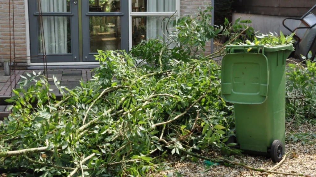 Inwoners Staphorst kunnen gratis snoeiafval kwijt