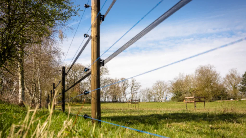 Subsidie wolfwerende maatregelen Overijssel weer open Subsidie wolfwerende maatregelen Overijssel weer open