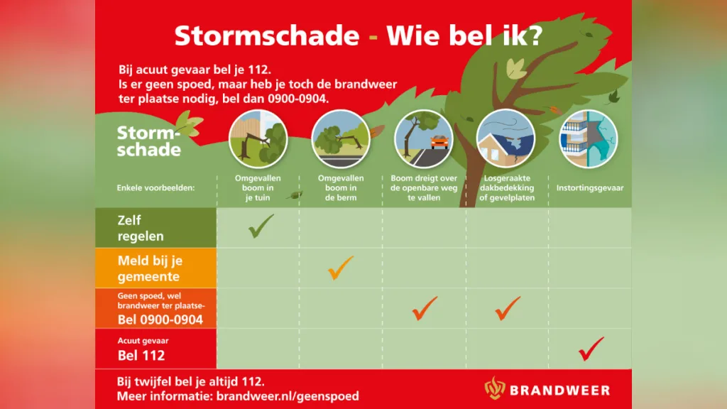 Zes stormmeldingen in Staphorst na onstuimige nacht Zes stormmeldingen in Staphorst na onstuimige nacht