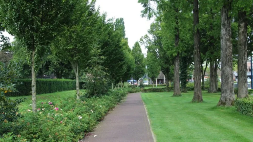 Geef uw mening over het openbaar groen
